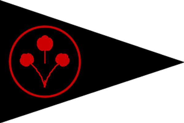FLAG OF PAK ARMY INFANTRY DIVSION 8 COMMANDER