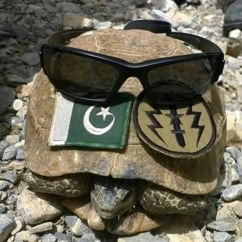 PAKISTAN ARMY SSG