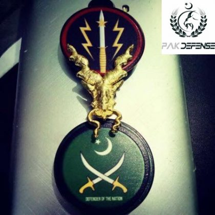 PAKDEFENSE 3D Markhor Gold Lapel Pin