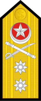 PAKISTAN NAVY REAR ADMIRAL BADGE