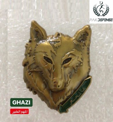 Ghazi Khilji 3D Lapel Pin Golden in PAKISTAN