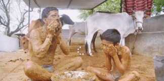 Cow Dung indians LOL