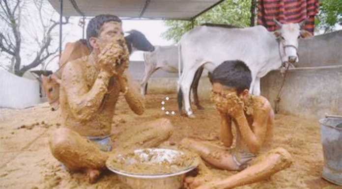 Cow Dung indians LOL