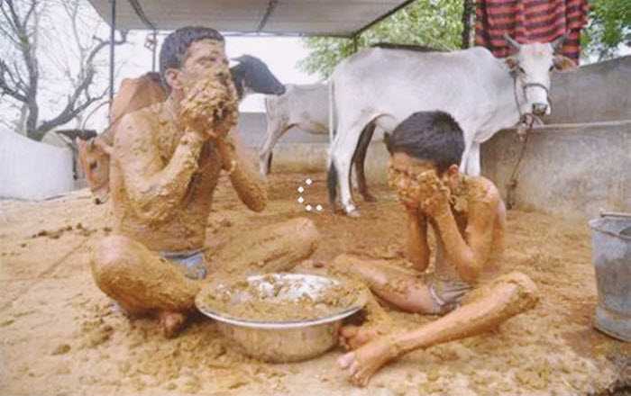 Cow Dung indians LOL