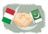 PAKISTAN ITALY DEFENSE COOPERATION