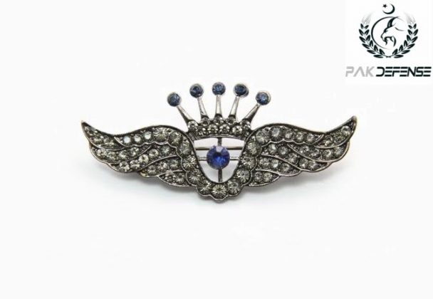 Antique Black Crown Wings 3D Lapel Pin