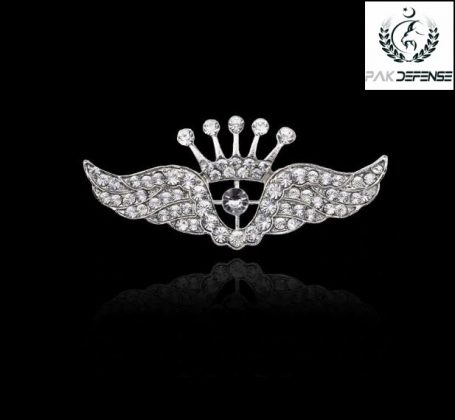 PAK DEFENSE Silver Crown Wings 3D Lapel Pin