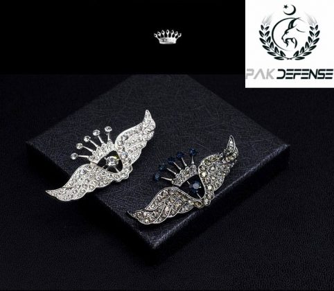 PAKDEFENSE Silver Crown Wings 3D Lapel Pin