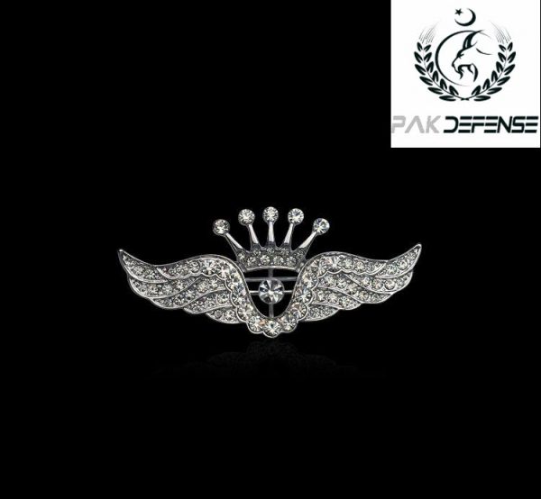 Silver Crown Wings 3D Lapel Pin