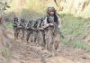 PAKISTAN ARMY Team at PAKISTAN ARMY Team Spirit (PATS) Competition 2020