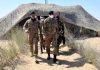 Bahawalpur Corps troops practicing drills in Zarb-e-Hadeed Exercise