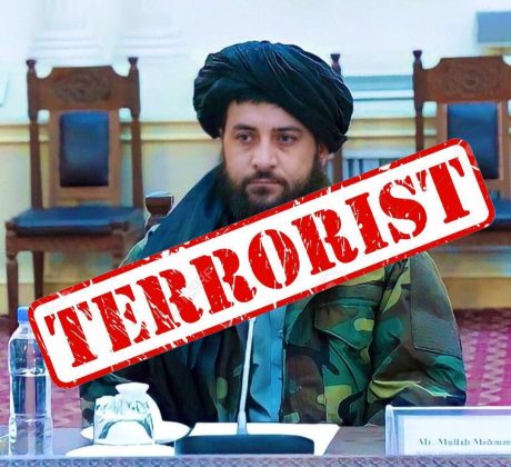 afghan defense minister swine mullah yaqoob