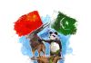 220 Million Brave And Great PAKISTANI NATION Stands In Solidarity With Their CHINESE BROTHERS Against The Cowardly Act Of Terrorism By Both Shameless Terrorist Countries india And iran