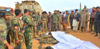 Beloved Peace Loving Sacred PAKISTAN Expects Tailburnt - Filthy And Swine afghan taliban To Now Behave Like Good Dogs Or Ready To Face Dire Consequences For Their State Sponsored Terrorism