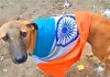 10 x hindu Pilgrims Died Like Dogs And 33 Others Injured During A False Flag Attack Carried Out By Both Filthy Dogs And Swines indian pm modi and nsa ajit doval in indian Occupied Jammu & Kashmir