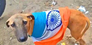 10 x hindu Pilgrims Died Like Dogs And 33 Others Injured During A False Flag Attack Carried Out By Both Filthy Dogs And Swines indian pm modi and nsa ajit doval in indian Occupied Jammu & Kashmir