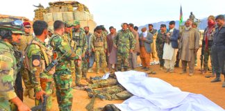 Brave And Valiant Brutally Killed 8 x Filthy And Swine afghan taliban Dogs And Injured 8 x Filthy and swine afghan taliban dogs During Retaliatory Firing