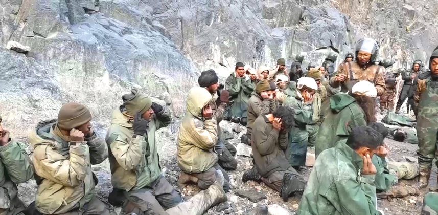 coward indian forces can also be tamed as pet dogs and cats
