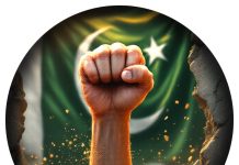 Brave TRI-ARMED FORCES Of Beloved Peace Loving Sacred PAKISTAN To Avenge The Drop Of Blood Of Innocent Proud PAK CITIZENS That Got Martyred By Filthy israeli drones