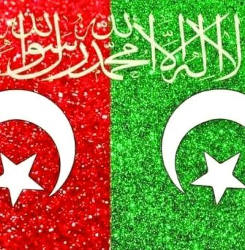 TURKISH President His Excellency Mr. Recep Tayyip Erdogan Categorically Made It Clear That Iron Brother TURKIYE Always Firmly Stands With Sacred Country PAKISTAN