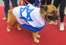 Filthy and Bastard Country israel