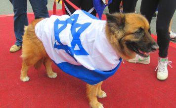 Beloved Peace Loving Sacred Country PAKISTAN Categorically Rejects The Highly Irresponsible Statement Of Certified israeli flthy dog And Bastard netanyahu