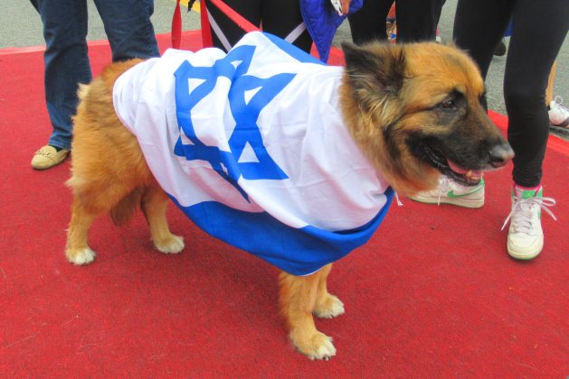 Beloved Peace Loving Sacred Country PAKISTAN Categorically Rejects The Highly Irresponsible Statement Of Certified israeli flthy dog And Bastard netanyahu