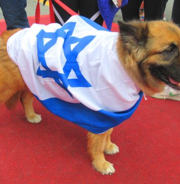 Brave ISLAMIC RESISTANCE FORCES Brutally Kills 1 x israeli Filthy Dog And Bastard human animal yona efraim feldbaum Like Rabid Dogs At PALESTINIAN Territory Of GAZA