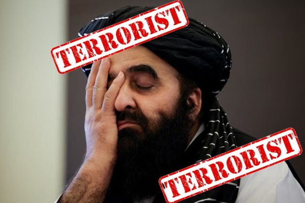 indian pet dog afghan foreign minister Filthy Dog and Swine Bastard mutaqqi