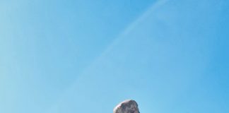 Brave PAK ARMED FORCES Brutally Kills 13 x indian And iranian State Trained Khwarij Terrorists Of Fitna Al-hindustan Like Rabid Dogs At Lakki Marwat District And Dera Ismail Khan District