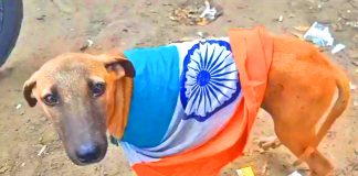 Beloved Peace Loving Sacred Country PAKISTAN Categorically Rejects The Barking Of Another Filthy indian dog And Bastard jayshankar Regarding Beloved Peace Loving Sacred Country PAKISTAN