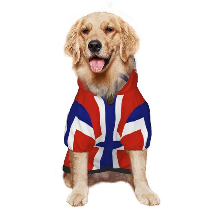 filthy and bastard norway flag